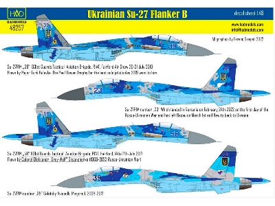 Ukrainian Su-27 P1m Falnker B Digit Camouflage - zdjęcie 2
