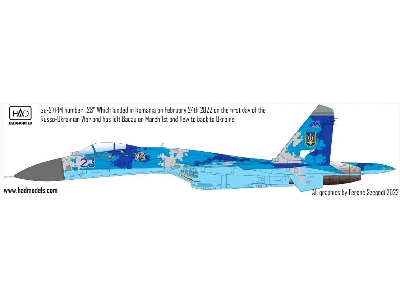 Ukrainian Su-27 P1m Falnker B Digit Camouflage - zdjęcie 7