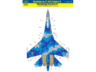 Ukrainian Su-27 P1m Flanker B Digit Camouflage Decal Sheet - zdjęcie 1
