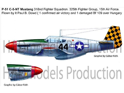 P-51 B Mustang Reprint - zdjęcie 4