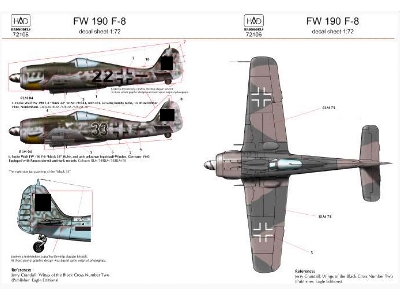 Fw 190 F-8 - zdjęcie 1