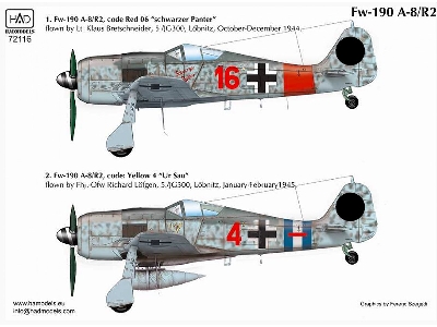 Fw 190 A-8 / R2 Ur Sau Red 16, Red 4 Schwarzer Panter - zdjęcie 3