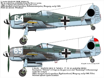 Fw 190 F-8 64 Ăˇgi ; 65 "pĂ¶ttĂ¶m - zdjÄ™cie 2
