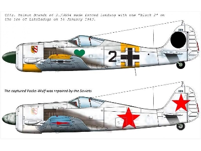 Fw-190 A-4 Jg54 Black 2; + Captured Black 2 For Soviet Army - zdjęcie 2