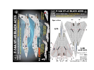 F-14a 'black Aces' Final Countdown - zdjęcie 3
