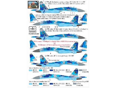 Ukrainian Su-27 P1m Falnker B Digit Camouflage - zdjęcie 3