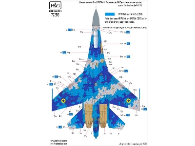 Ukrainian Su-27 P1m Flanker B Digit Camouflage Decal Sheet - zdjęcie 3