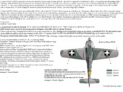 Fw 190 F-8 (Recommended For Border Kit) - zdjęcie 2