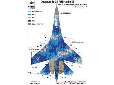 Su-27 P1m Digital Camouflage - zdjęcie 2