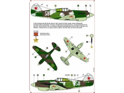 Curtiss P-40 B/C - American's In Stalin's Sky Part 1Â (Designed To Be Used With Trumpeter Kits) - zdjÄ™cie 3
