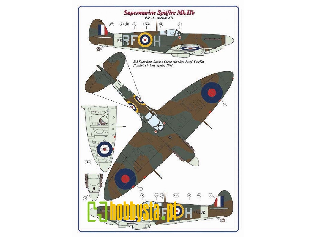 303 Raf Decals 303 Squadron Raf (Polish) - Supermarine Spitfire Mk.Iib Flown By Czech ...