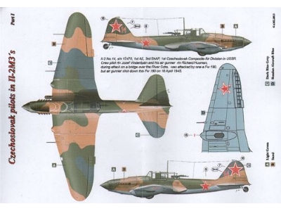 Czechoslovak Pilots In Ilyushin Il-2m3 Part 1 (2 Decal Versions : April - May 1945) - zdjęcie 2
