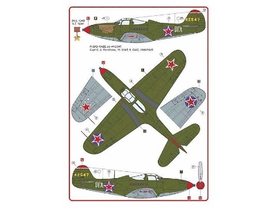 The Soviet Air ForceÂ´s Ranking Ace In Kobras Part 2 : Captain G.A.Rechkalov (2 Decal Versions) - zdjÄ™cie 3