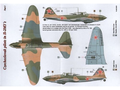 Czechoslovak Pilots In Ilyushin Il-2m3 Part 1 (2 Decal Versions) - zdjęcie 2