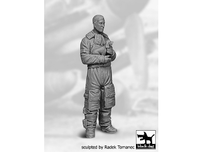 German Fighter Pilot And Dog Wwii - zdjęcie 2