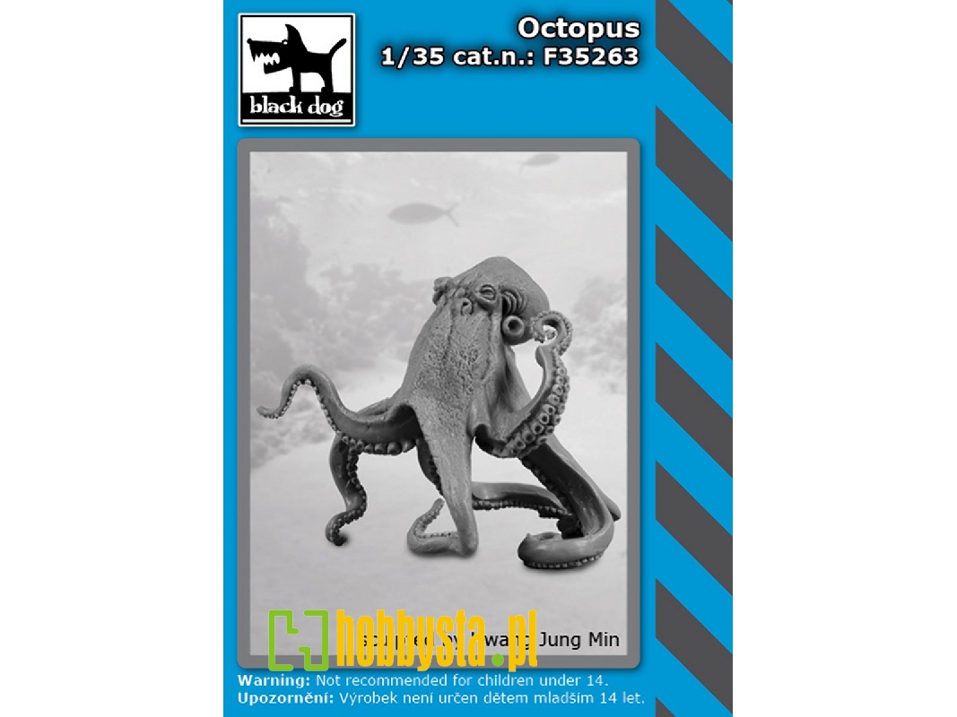 Octopus - zdjęcie 1