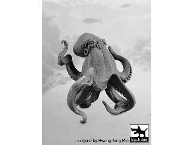 Octopus - zdjęcie 3