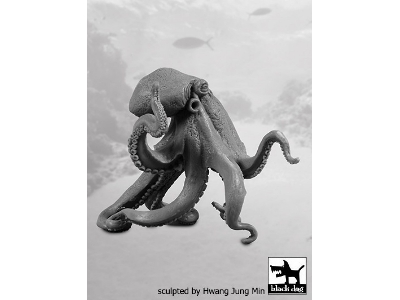 Octopus - zdjęcie 4