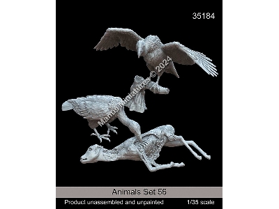 Animals Set 56 - zdjęcie 1