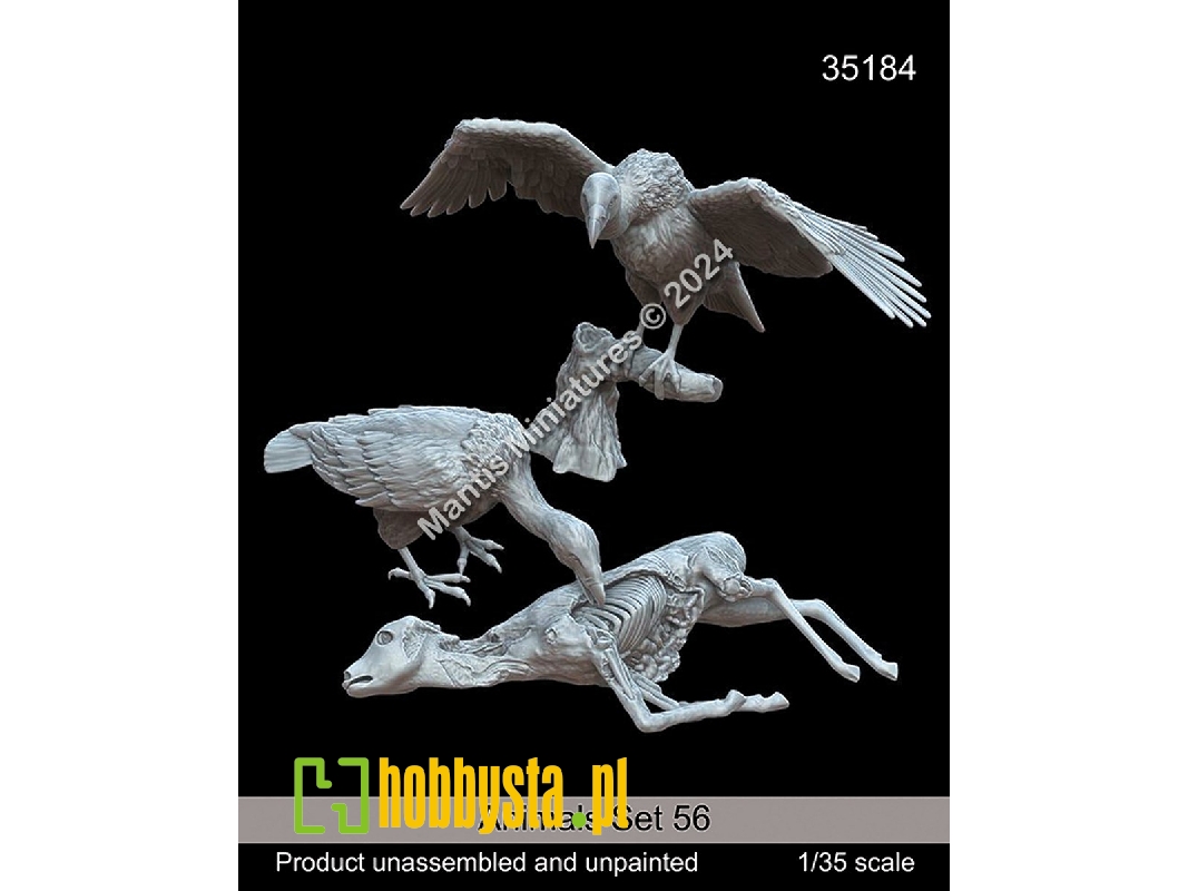 Animals Set 56 - zdjęcie 1 Animals Set 56 - zdjęcie 1