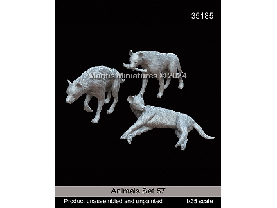 Animals Set 57 - zdjęcie 1