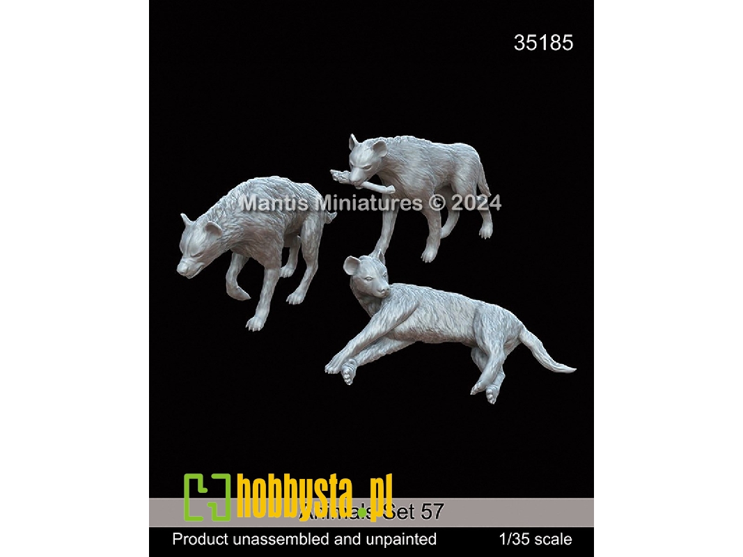 Animals Set 57 - zdjęcie 1 Animals Set 57 - zdjęcie 1