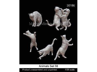 Animals Set 58 - zdjęcie 1