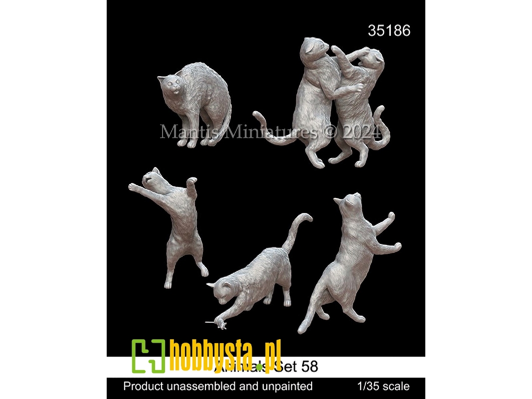 Animals Set 58 - zdjęcie 1 Animals Set 58 - zdjęcie 1