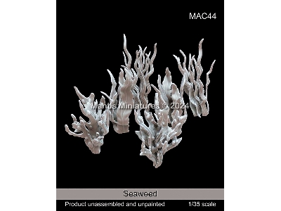 Seaweed (9pcs In Different Sizes) - zdjęcie 1