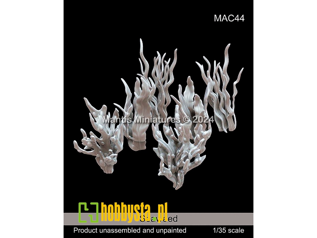 Seaweed (9pcs In Different Sizes) - zdjęcie 1 Seaweed (9pcs In Different Sizes) - zdjęcie 1