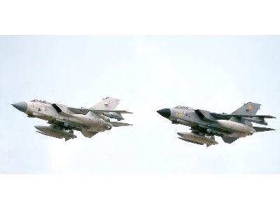 Panavia Tornado - 50th Anniversary - zdjęcie 1