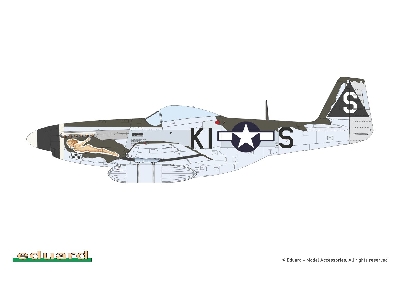 P-51D-5 Mustang 1/72 - zdjęcie 6
