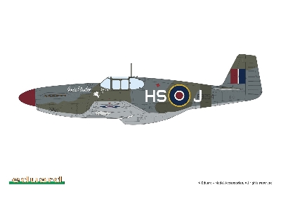 Mustang Mk. III 1/48 - zdjęcie 21