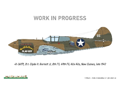 P-40E Warhawk 1/48 - zdjęcie 7