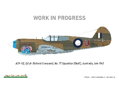 P-40E Warhawk 1/48 - zdjęcie 9