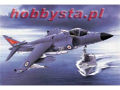 BAe Sea Harrier FRS-1 - zdjęcie 1