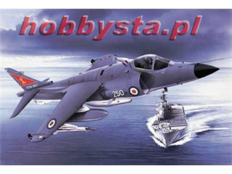 BAe Sea Harrier FRS-1 - zdjęcie 1 BAe Sea Harrier FRS-1 - zdjęcie 1
