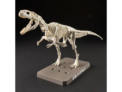 Plannosaurus Gigantosaurus - zdjęcie 3