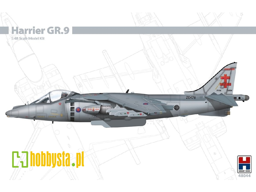 Harrier Gr.9 - zdjęcie 1 Harrier Gr.9 - zdjęcie 1