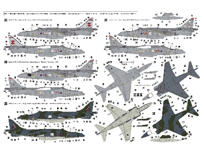 Harrier Gr.9 - zdjęcie 3