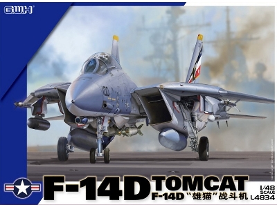 Grumman F-14 D Tomcat - zdjęcie 1