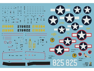 P-39 Airacobra Recon - zdjęcie 11