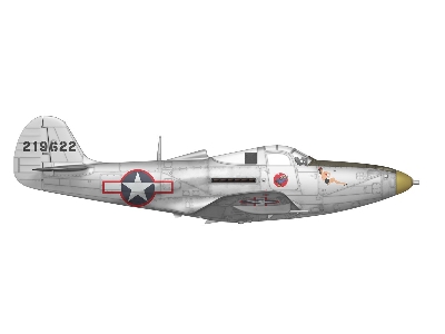 P-39 Airacobra Recon - zdjęcie 13