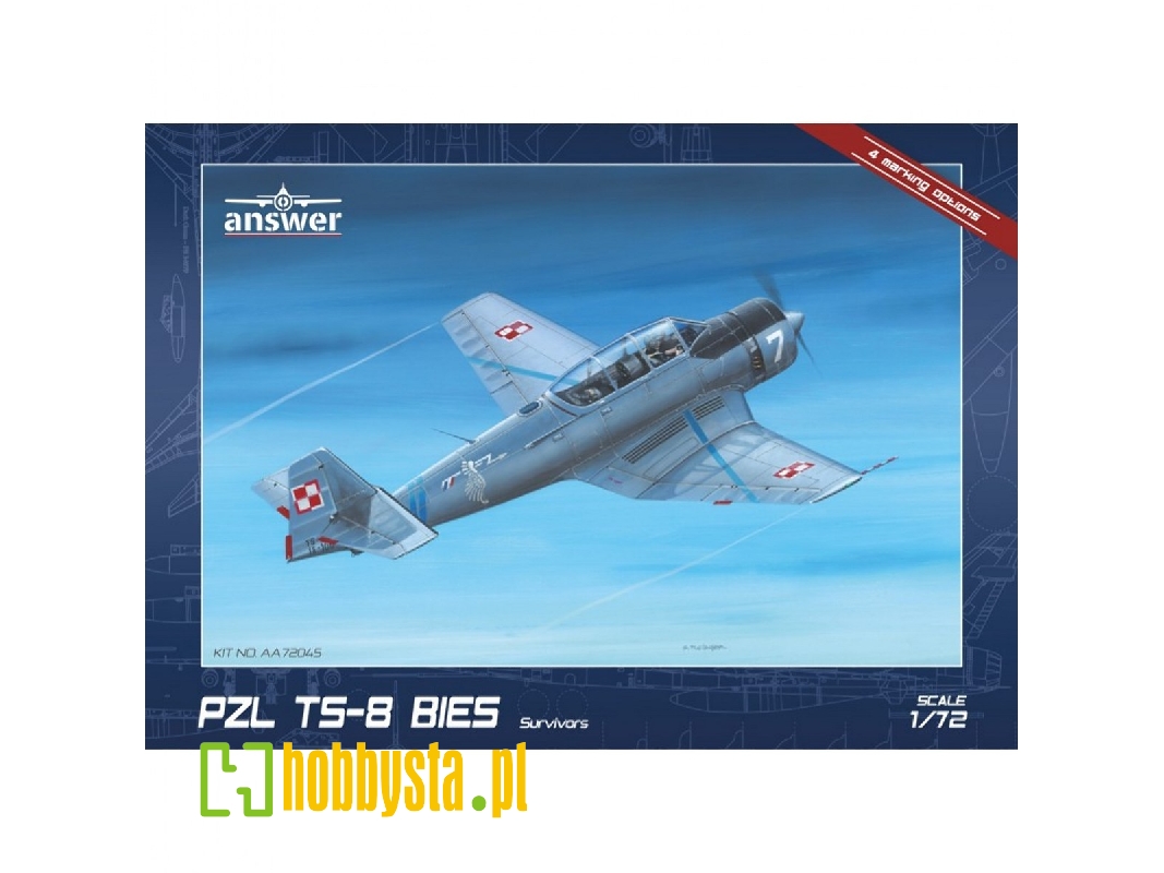 Pzl Ts-8 Survivors - zdjęcie 1 Pzl Ts-8 Survivors - zdjęcie 1