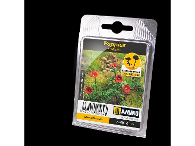 Poppies - zdjęcie 1