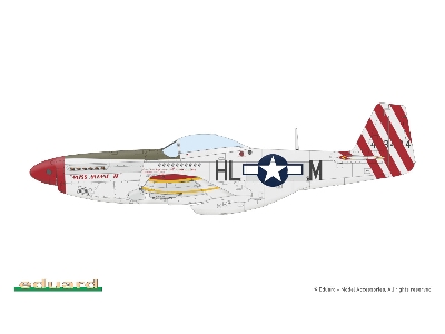 P-51D-5 Mustang 1/72 - zdjęcie 13