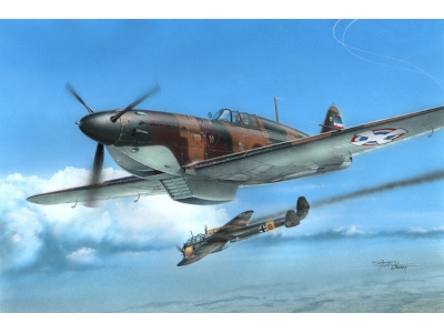 Rogozarski Ik-3 "april Fights" - zdjęcie 1