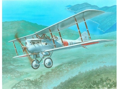 Japanese Fighter Nakajima Ko-4 - zdjęcie 1
