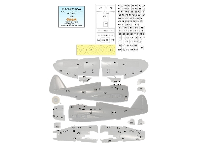 Republic P-47 Razorback - Mask For Panels (For Tamiya Kits) - zdjęcie 1