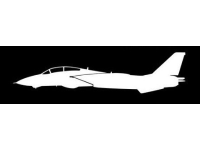 Sticker F-14 Tomcat (15cm White) - zdjęcie 1